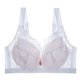 thumbnail image 1 of Sujetador de encaje sexy ultrafino de talla grande, sin aros, push-up, ajustable, ropa interior para mujer, 1 of 1