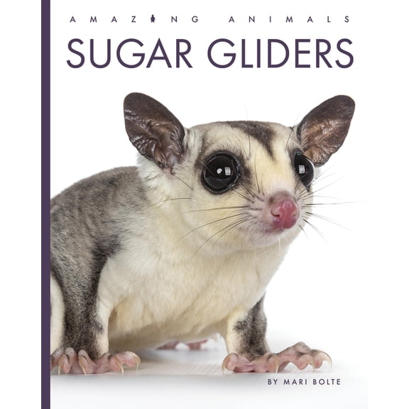 Amazing Animals Sugar Gliders, (Paperback)