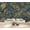 Color 2, variant on Wallpaper Snakes Dark Floral Botanical Vintage Gothic Garden Peel and Stick Wall Murals 69"H x 96"W Removable PVC Wall Paper Self-Adhesive Wall Paintings Art Decor for Bedroom Living Room