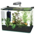 thumbnail image 4 of Penn-Plax Water-World Radius Desktop Aquarium Kit – 5 Gallon Glass Tank, 4 of 8