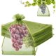 thumbnail image 1 of 100 Piezas Bolsas de Protección de Frutas, 20 * 30 Bolsas de Red de Frutas para Árboles Frutales, Bolsas de Cubierta de Red Verde Protectores de Frutas de Malla con Cordón Barrera de Plagas para Uvas, 1 of 4