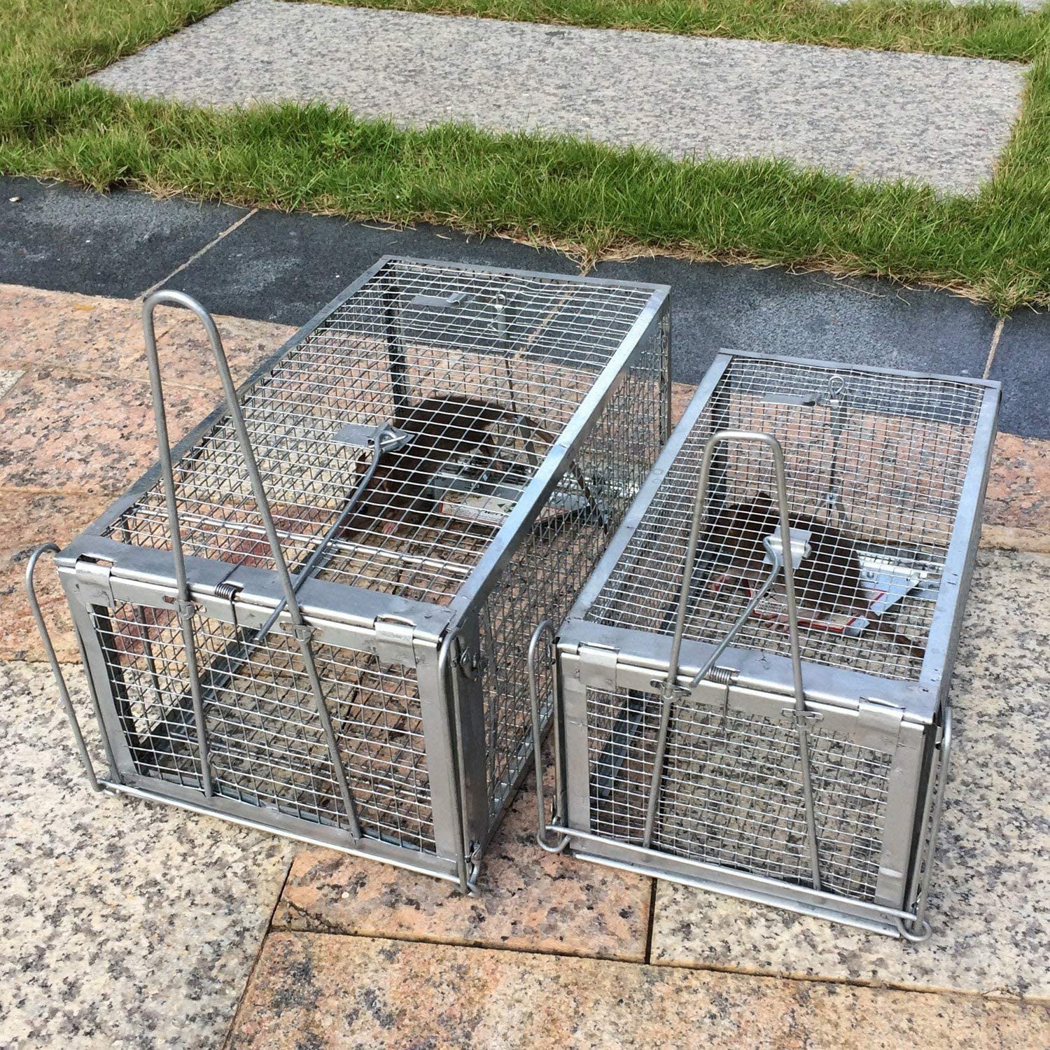 Humane Rat Trap Chipmunk Rodent Trap That Work For Indoor - Temu