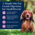 thumbnail image 3 of Blue Buffalo Basics Small Breed Dry Dog Food, Turkey & Potato, 4-lb. Bag, 3 of 11