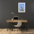 thumbnail image 3 of Lord, Fred 17x24 White Modern Wood Framed Museum Art Print Titled - Arizona, Phoenix Cactus wren pair on limb, 3 of 4