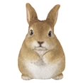 thumbnail image 1 of Hi-Line Gift 87685-C Chubby Rabbit Standing, 1 of 1