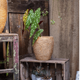 thumbnail image 6 of Faux Grass-Woven Cement Planter, 6 of 12