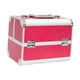thumbnail image 2 of Estuche de maquillaje, organizador de almacenamiento para decoración de uñas, caja de manicura, bolsa de maquillaje de carcasa dura, caja de Rosa roja, 2 of 9