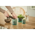 thumbnail image 4 of Chesapeake Bay Candle, Coffee Table 3-Wick Jar Candles | Awaken (Ocean Air), 4 of 4