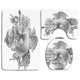 thumbnail image 1 of ABPHQTO Juego de alfombras de baño de 3 piezas Cráneo humano monocromo gris y rosas, 1 of 2
