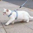 thumbnail image 4 of EGNMCR Série Dégradée Harnais de Poitrine pour Animaux de Compagnie Réglable Laisse Anti-Déchirable Laisse de Marche Extérieure Laisse de Sécurité en polyester Pet Leash Ensemble, 4 of 6