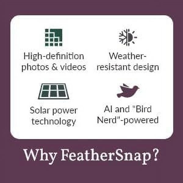 Feathersnap Smart Bird Feeder with AI Identification & HD Camera  Solar-Powered Wi-Fi Feeder Sends Photos & Videos to Your Phone  Includes Pole Mount, Bird Seed, 32GB SD Card, & Cleaning Cloth