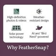 thumbnail image 6 of Smart Birdfeeder with AI Identification and Wi-Fi Solar Powered, Captures HD Pictures and Videos Sent Directly to Your Phone Bird Feeder, Pole, & Starter Kit, 6 of 9