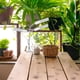 thumbnail image 2 of Led Grow Light Full Spectrum Luz De Planta Ajustable De 3 Cabezales Para Plantas De Interior Minnieouse  HA035922-00, 2 of 6