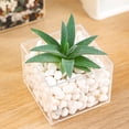 thumbnail image 4 of unbranded 2Ud Decorativo Transparente Para Cultivo De Plantas Suculentas En Escritorio, 4 of 8
