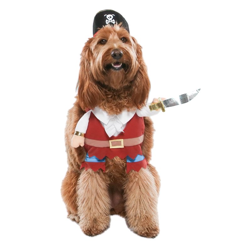 Vibrant Life Halloween Dog Costume and Cat Costume: Pirate, Size Medium 