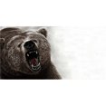 thumbnail image 1 of Bear Offset Photo License Plate, 1 of 1