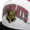 thumbnail image 4 of Harry Potter Hogwarts Crest Snapback Hat, 4 of 5