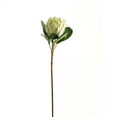 thumbnail image 1 of Hill Interiors Protea Protea Artificial Flower, 1 of 1