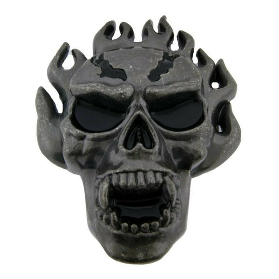 Skull Belt Buckle Halloween Party Costume Skeleton Flaming Secret Compartment Antiqued Finished