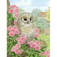 thumbnail image 1 of Carolines Treasures ASA2109GF Tawny Owlet Flag Garden Size, 1 of 3