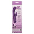 thumbnail image 4 of CalExotics Jack Rabbit Elite Warming Rabbit Vibrator, Purple, 4 of 13