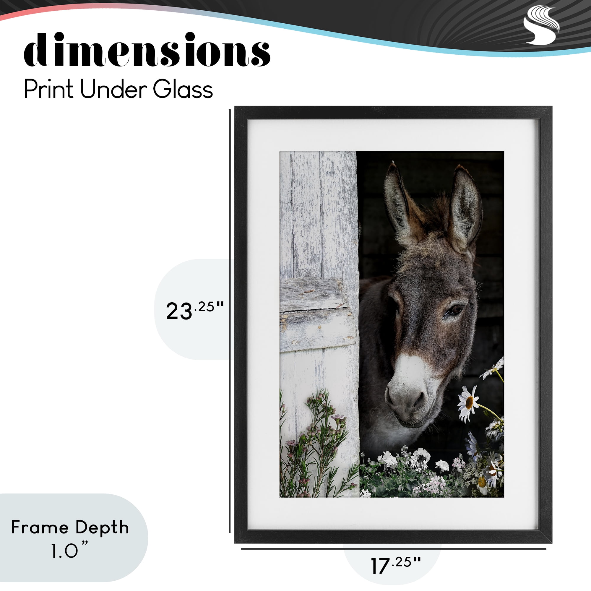 Stupell Industries Gentle Donkey Peering from Barn Black Framed Print Under Glass, design by CAD Designs