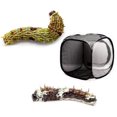 thumbnail image 1 of Agiferg Portable Foldable Insect And Butterfly Habitat Cage Housing Enclosure, 1 of 1
