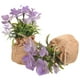 thumbnail image 2 of 2 piezas Flores artificiales Arreglos de orquídeas de plástico en macetas para decoración del jardín, 2 of 5