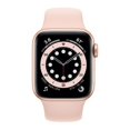 thumbnail image 5 of Refurbished Apple Watch Series 6 Stainless Steel 40mm A2293 (GPS + Cellular) Gold w/ Wireless Earbuds, 5 of 5