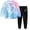 Blue, variant on felwors Girls 2 Piece Outfits Kids Clothes Sets Sweatsuit Tracksuit Jogger Print Long Sleeve Sweatshirts Sweatpants 2-8Y (8-9 Years,Sky Blue)