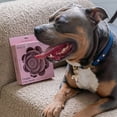 thumbnail image 4 of Dexypaws: Flower Slow Feeder - Blush Pink - Dog & Pet Mealtime Accessory, Fits Into Most 8" Bowls, Suction Base, Safe & Non-Toxic, Food-Grade Silicone, 4 of 7