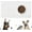 White Lines, variant on Cloudsfeel Pet Food Mat,Dog Cat Bowl Mat for Food and Water,Dog Cat Feeding Mat,Dog Cat Placemat,Dog Food Mats for Floors Waterproof,Non-Toxic,Easy to Clean and Nonslip Mat for Pet