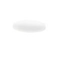thumbnail image 1 of Equipo de Experimento de Laboratorio de Ciencia de Barra de ción de Magnético de PTFE - Blanco, A20x50mm Sunnimix Agitador magnético de PTFE, 1 of 8