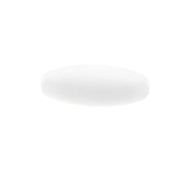 Equipo de Experimento de Laboratorio de Ciencia de Barra de ción de Magnético de PTFE - Blanco, A20x50mm Sunnimix Agitador magnético de PTFE