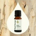 thumbnail image 3 of Plant Therapy White Camphor Essential Oil 10 mL (1/3 oz) 100% Pure, Undiluted, Natural Aromatherapy, 3 of 9