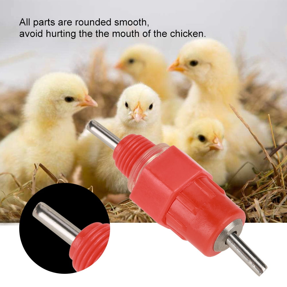 50 PCS Chicken Nipple Feeder Water Drinker Duck Hen Poultry for 3/4''PVC 