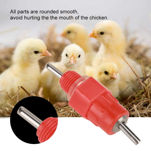 Gallina Aves de Corral, 50 PCS Pezón para Pollo Comedero para Pollos Pato Aves de Corral Diseño a Prueba de Futuro
