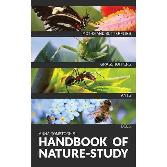 The Handbook Of Nature Study in Color - Insects, (Hardcover)