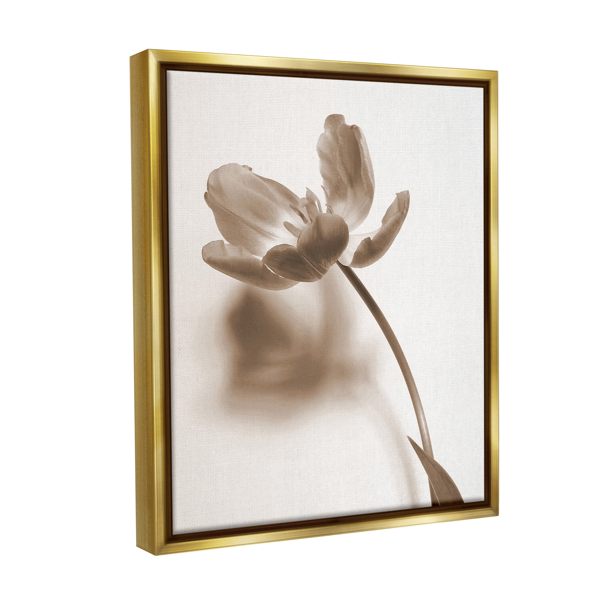 Stupell Industries Minimal Tulip Stem Botanical & Floral Photography Gold Floater Framed Canvas Art Print Wall Art, 17 x 21