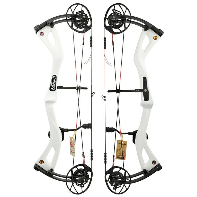 AME Carbon Fiber Compound Bow 070lbs Adjustable 345FPS Adult Hunting