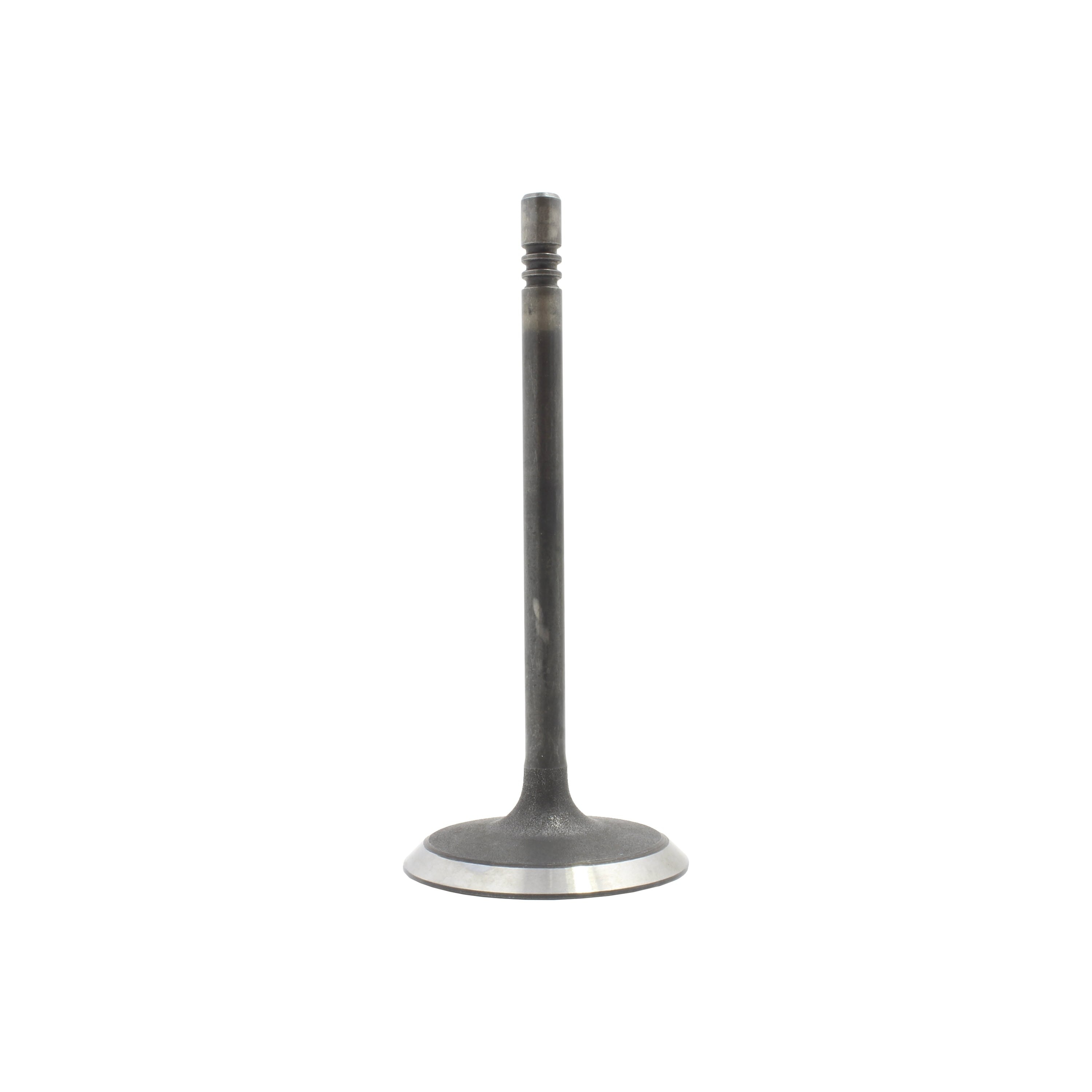 DNJ IV1100 Intake Valve Fits Cars & Trucks 99-12 Chrysler Dodge 1500 Aspen 3.7L SOHC 12v 16v