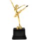 thumbnail image 1 of Trofeo de ballet, copa dorada, trofeo de plástico, recuerdos de fiesta, 1 of 7