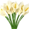 thumbnail image 3 of Homeford Artificial Calla Lily Stems, 4-inch, 12-count, Ivory, 3 of 3