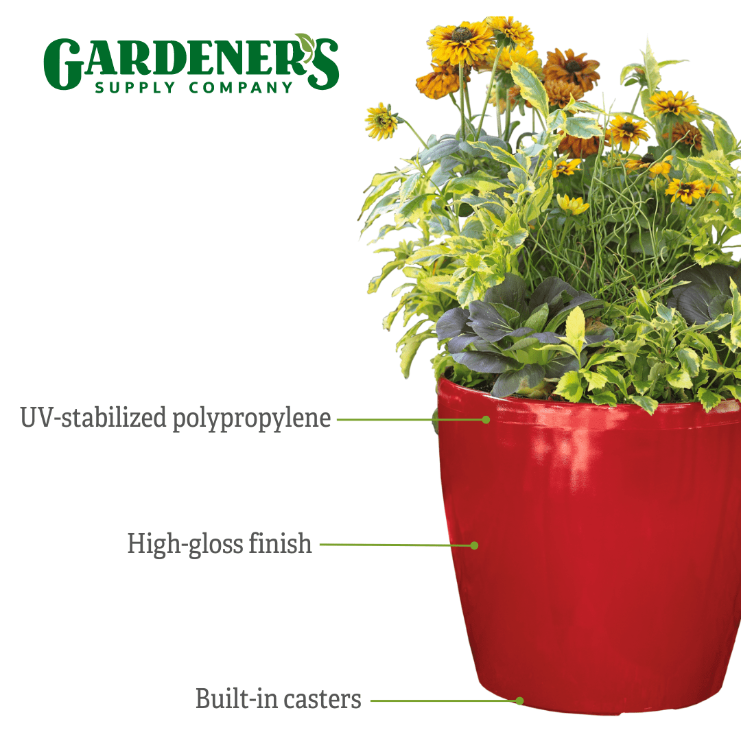 Amazon.com : Gardener's Supply Company Viva Self-Watering