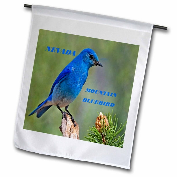 3dRose State Bird Of Nevada Mountain Bluebird - Garden Flag, 12 by 18