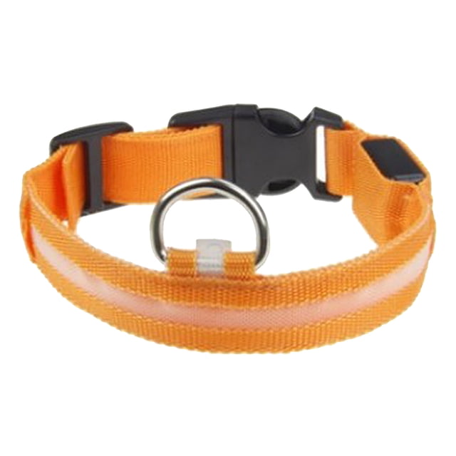 Collar de perro de seguridad de moda para mascotas con iluminación para perros medianos naranja Sunnimix Collar de resplandor en la noche oscura
