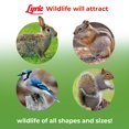 thumbnail image 4 of Letra de Wildlife Critter Food para ciervos, ardillas, pavos y conejos, 4 of 8