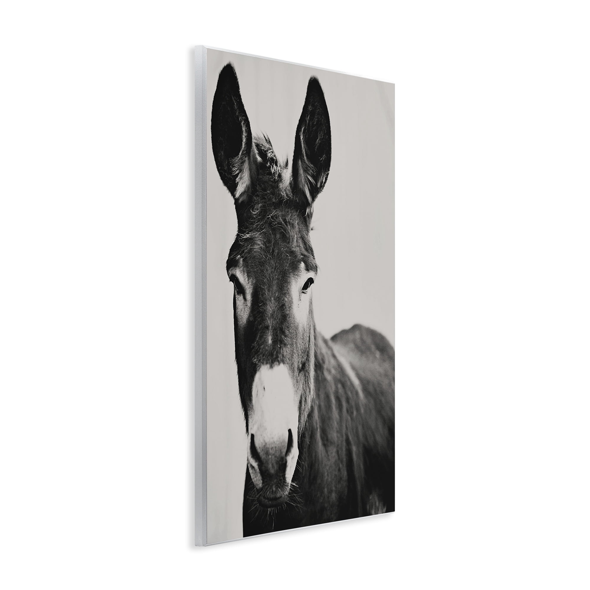 Stupell Industries Franz the Donkey Portrait Wall Plaque Art, design by Amy Carroll