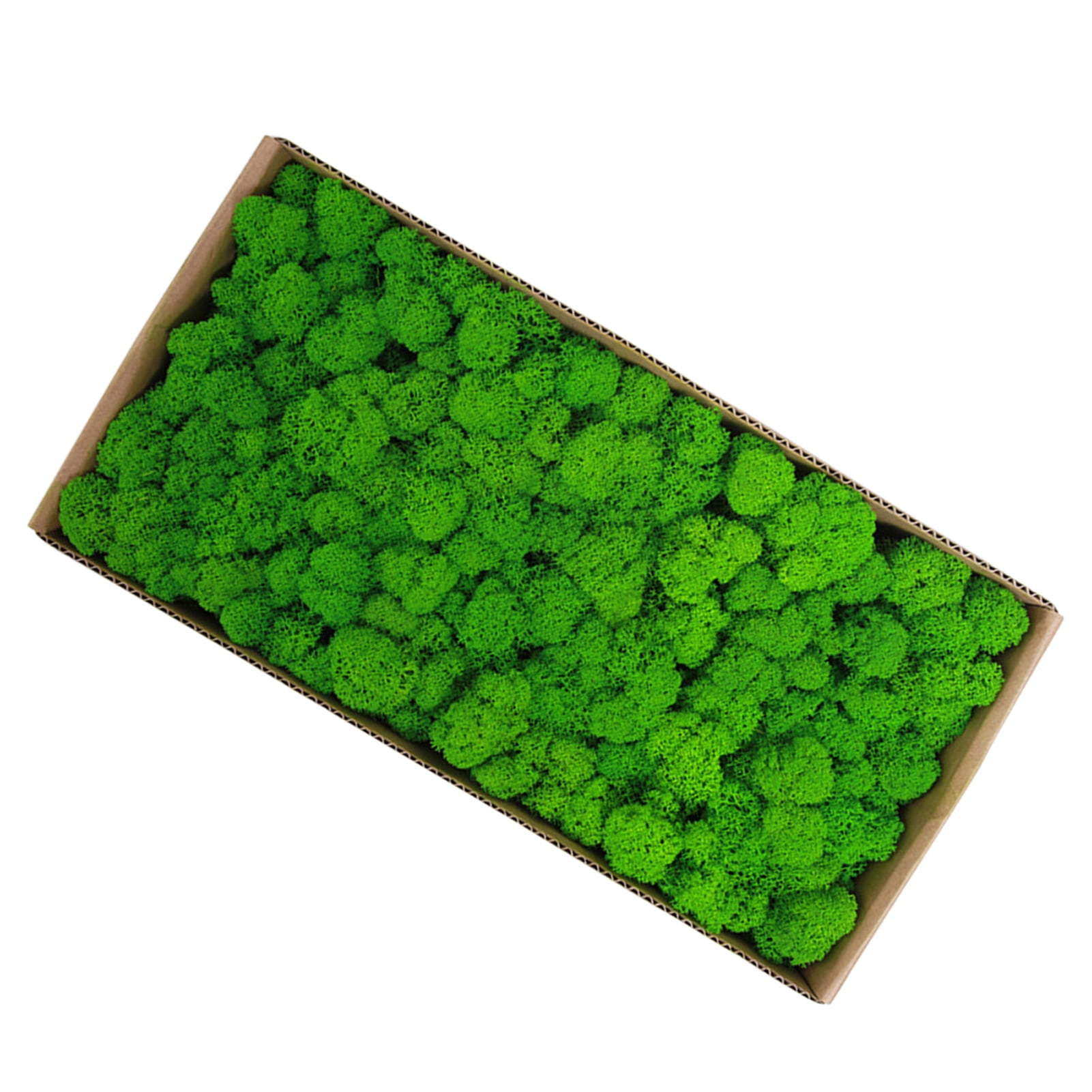 Real Preserved Moss Moss Preserved Moss Gardenning Art Wall Decor Moss Bulk Micro Landscape Decorative Props