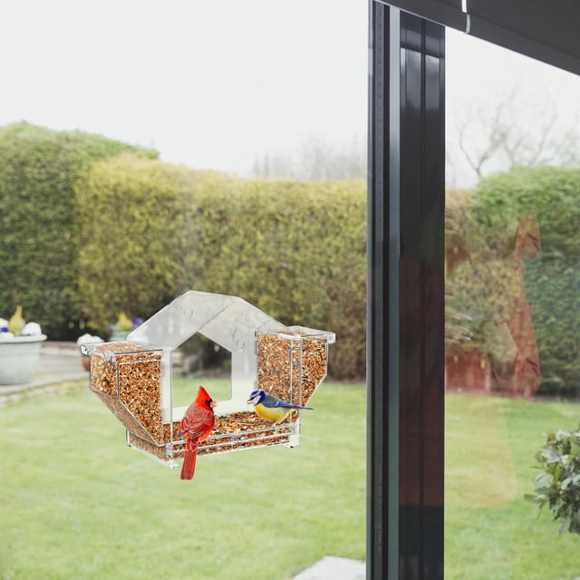SEWCHICS Window Mounted Bird Feeder Clear Plastic Bowl for Outdoor Use Secure and Weather Resistant